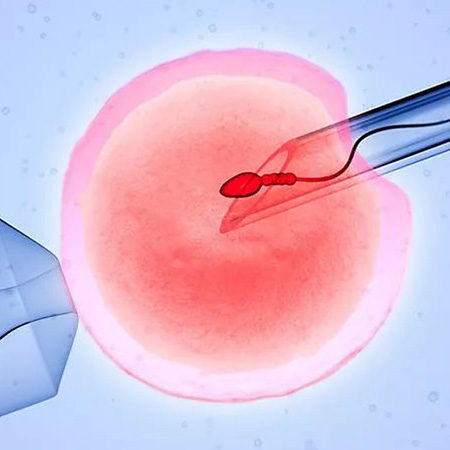 Best gynecologist in Bangalore - Best fertility clinic near me